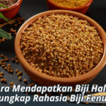 Cara Mendapatkan Biji Halba