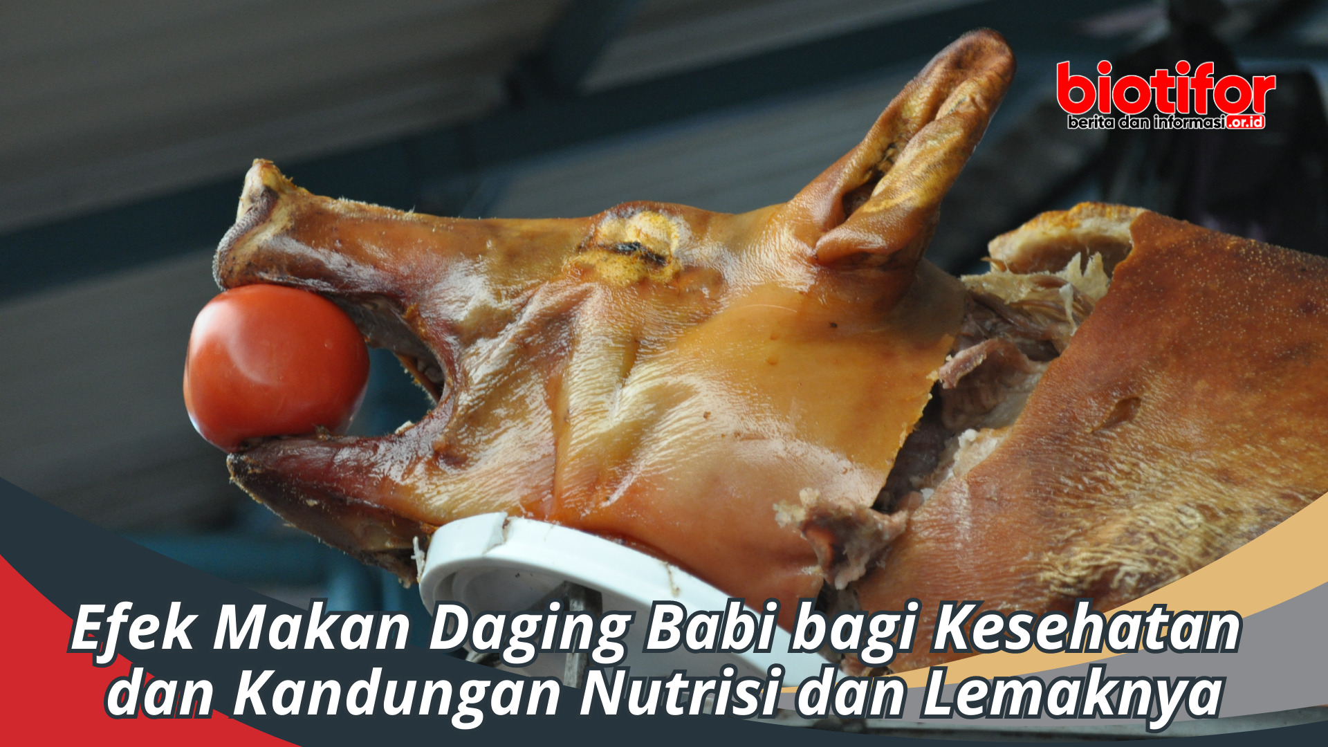 Efek Makan Daging Babi