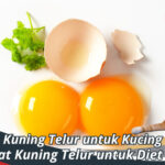 Manfaat Kuning Telur untuk Kucing