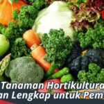 7 Jenis Tanaman Hortikultura: Panduan Lengkap untuk Pemula