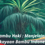 Bambu Hoki