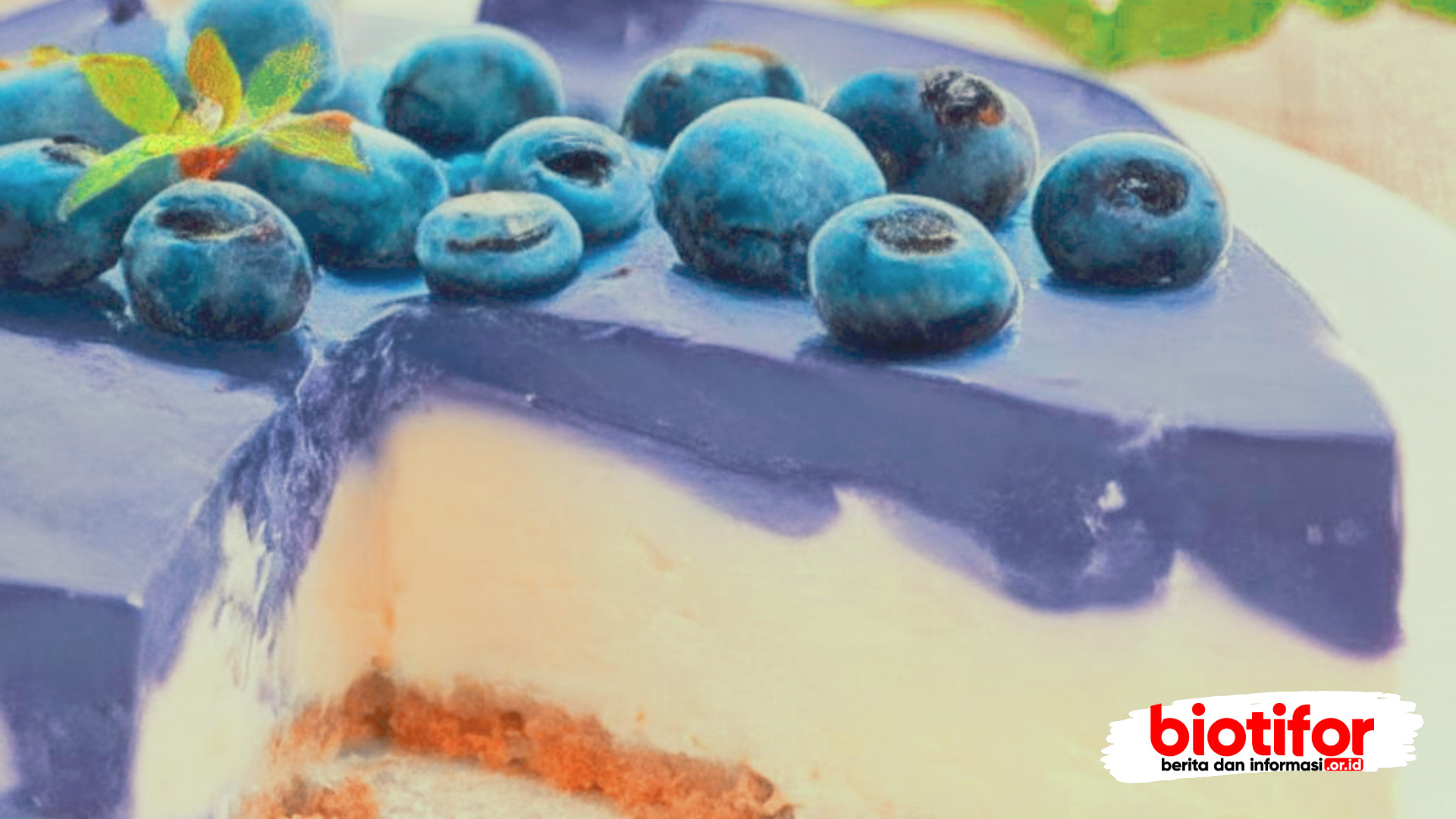 blueberry cheesecake