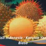 Buah Asli Indonesia