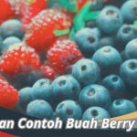 Buah Berry