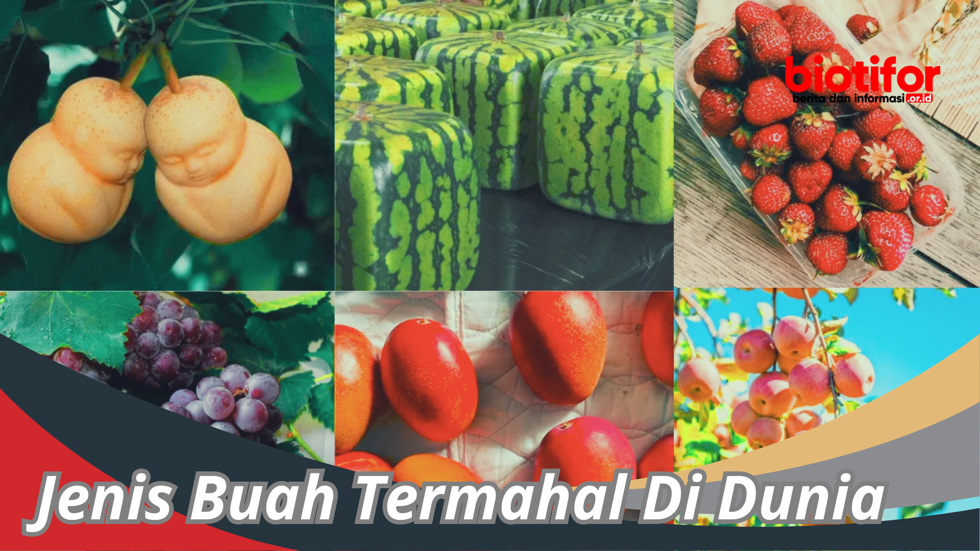 Buah Termahal Di Dunia