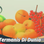 Buah Termanis Di Dunia