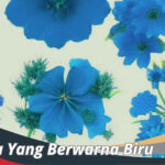 Bunga Yang Berwarna Biru