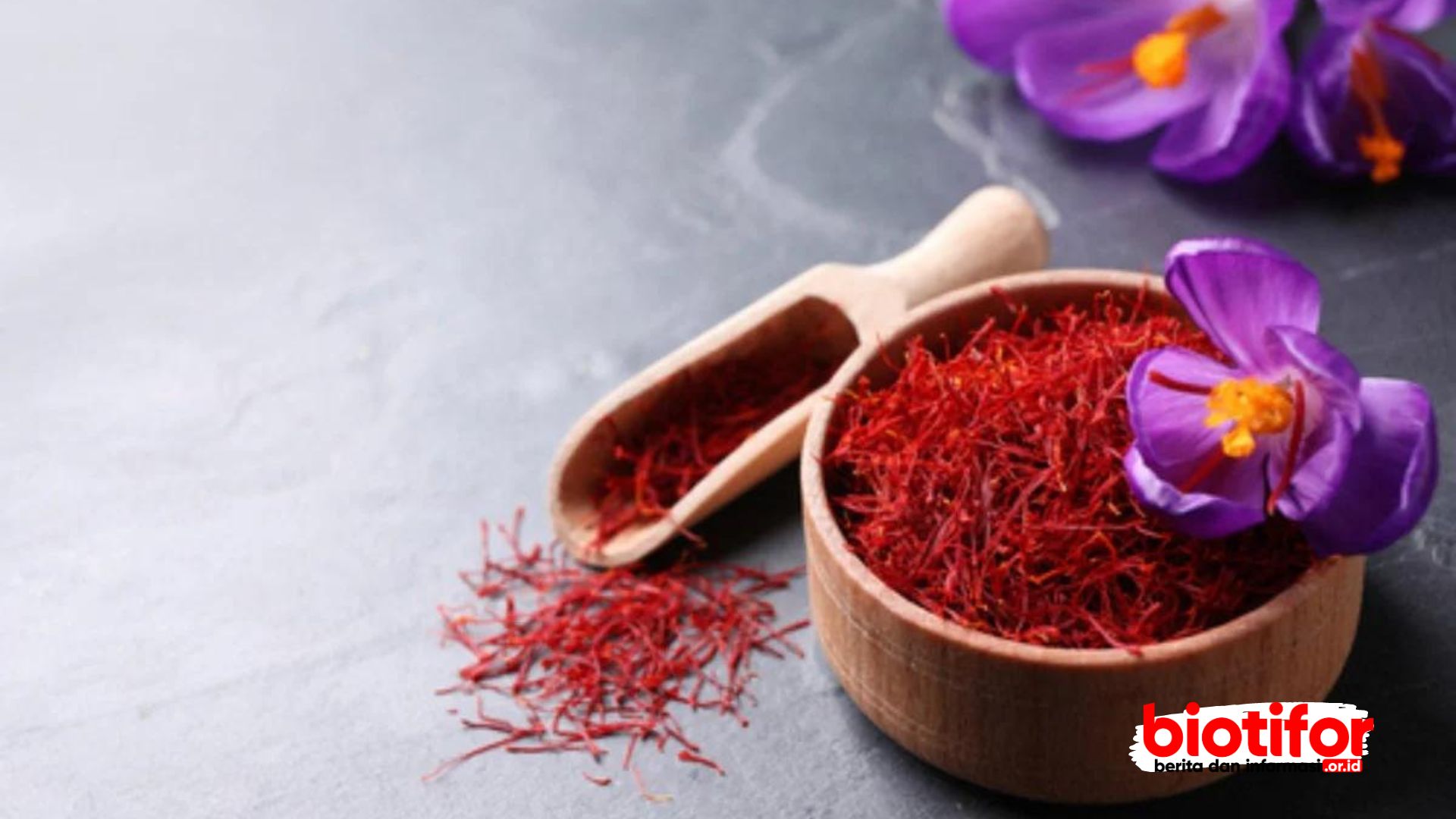 Bunga saffron