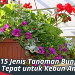 Daftar 15 Jenis Tanaman Bunga: Pilihan Tepat untuk Kebun Anda