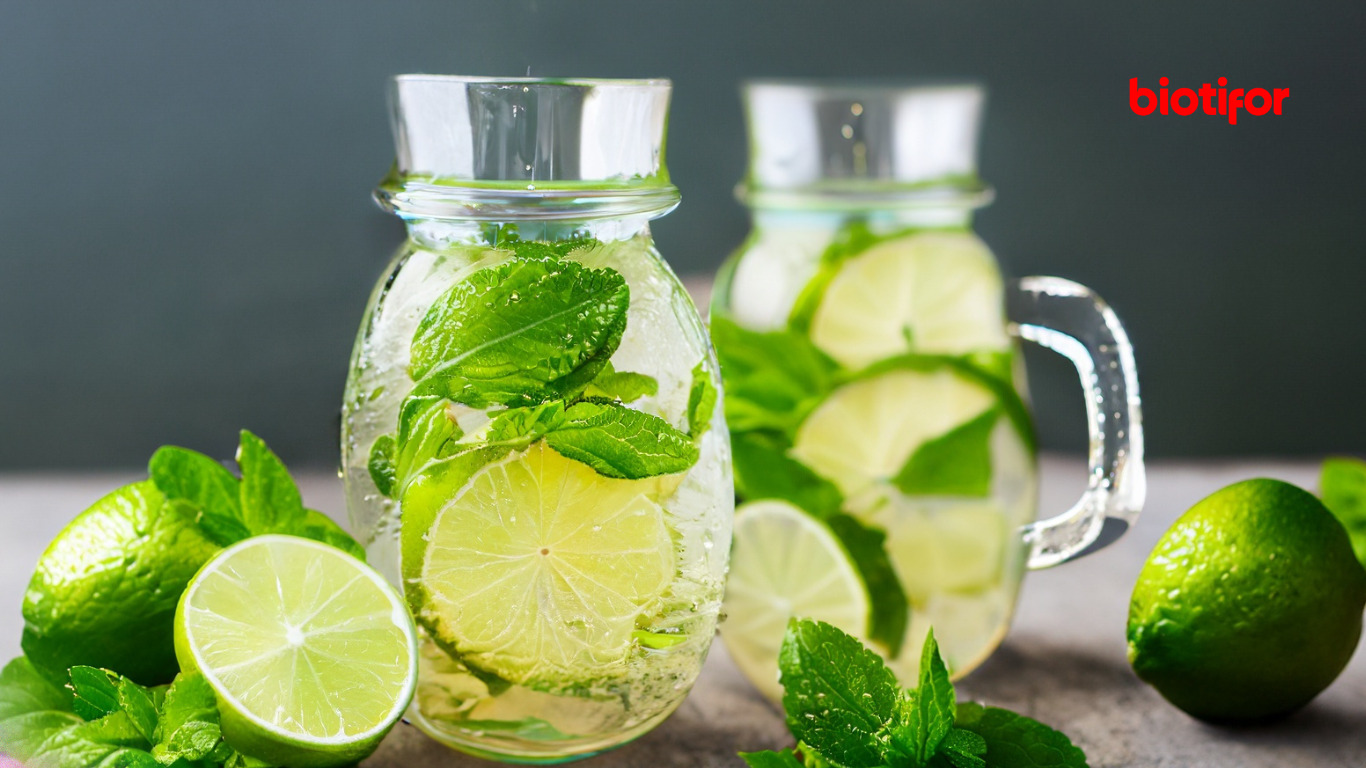 Manfaat Infused Water Minuman Segar untuk Kesehatan Kamu Biotifor