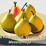 Jenis Buah Pir: Manfaat, Varietas, dan Tips Menanamnya