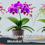 Jenis Tanaman Anggrek: Keindahan yang Memikat Hati