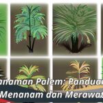 Jenis Tanaman Palem: Panduan untuk Menanam dan Merawat