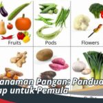 Jenis Tanaman Pangan: Panduan Lengkap untuk Pemula