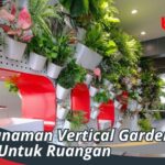 Jenis Tanaman Vertical Garden Indoor Untuk Ruangan