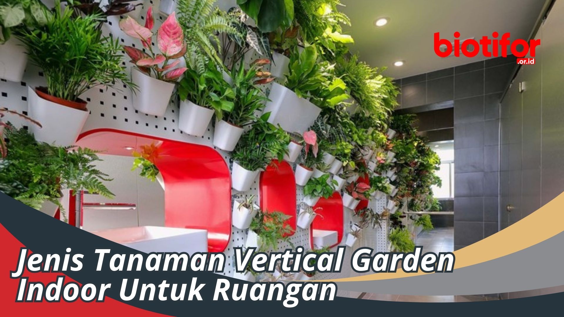 Jenis Tanaman Vertical Garden Indoor Untuk Ruangan