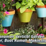 Jenis Tanaman Vertical Garden Outdoor, Buat Rumah Makin Indah