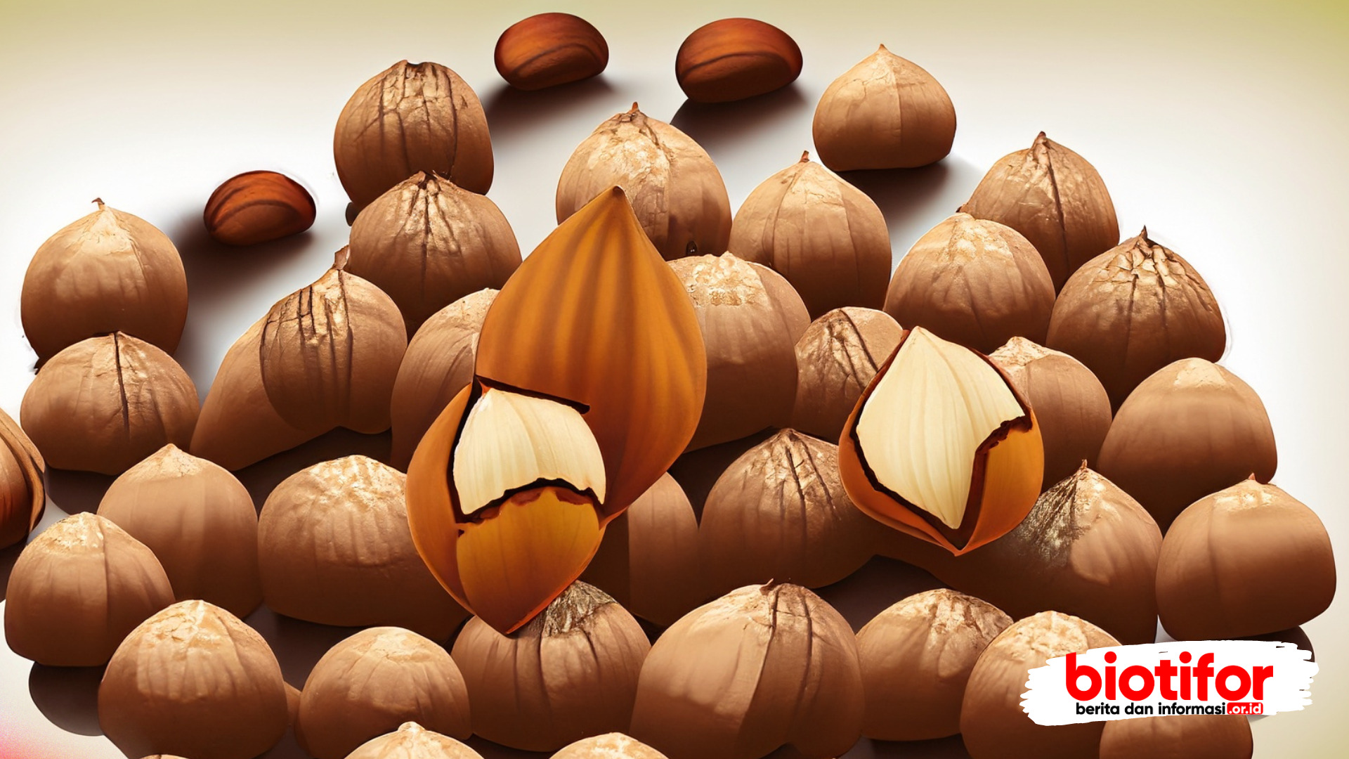 Kandungan Gizi Kacang Hazelnut