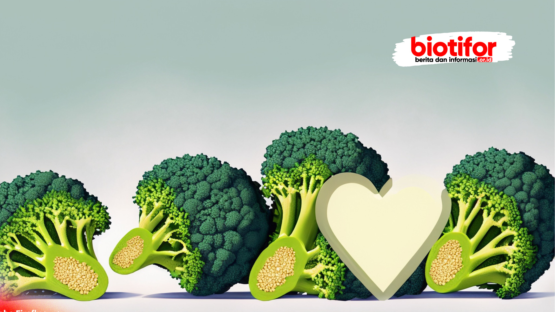 Kandungan Nutrisi Brokoli