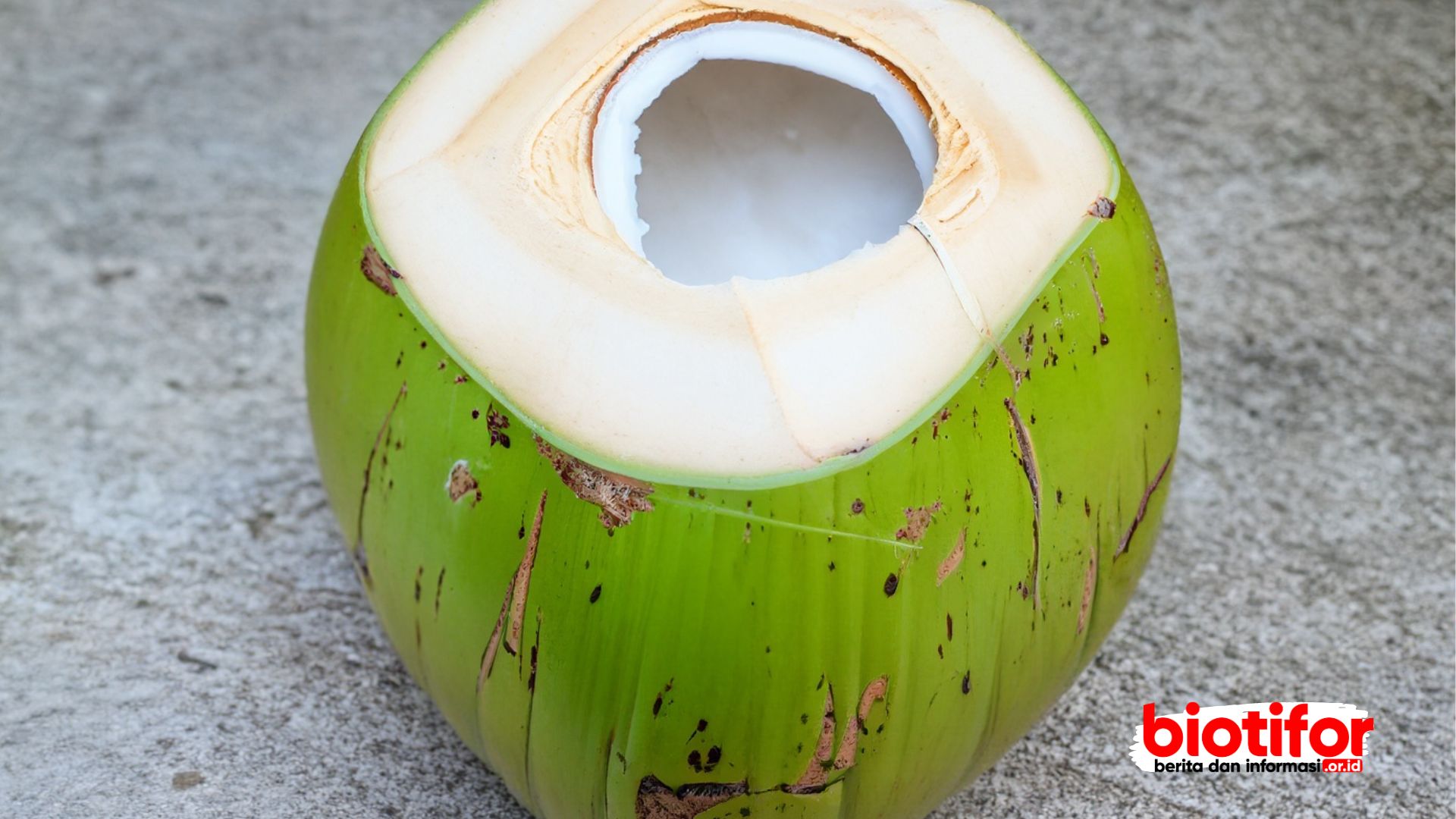 Kelapa Muda