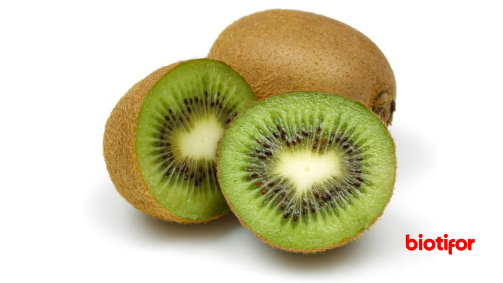 Kiwi