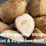 Manfaat Bengkoang Mengungkap Khasiat & Keajaiban Buah Ajaib