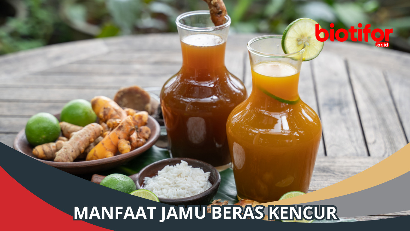 Manfaat Beras Kencur: Rempah yang Menyehatkan