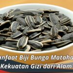 Manfaat Biji Bunga Matahari: Kekuatan Gizi dari Alam