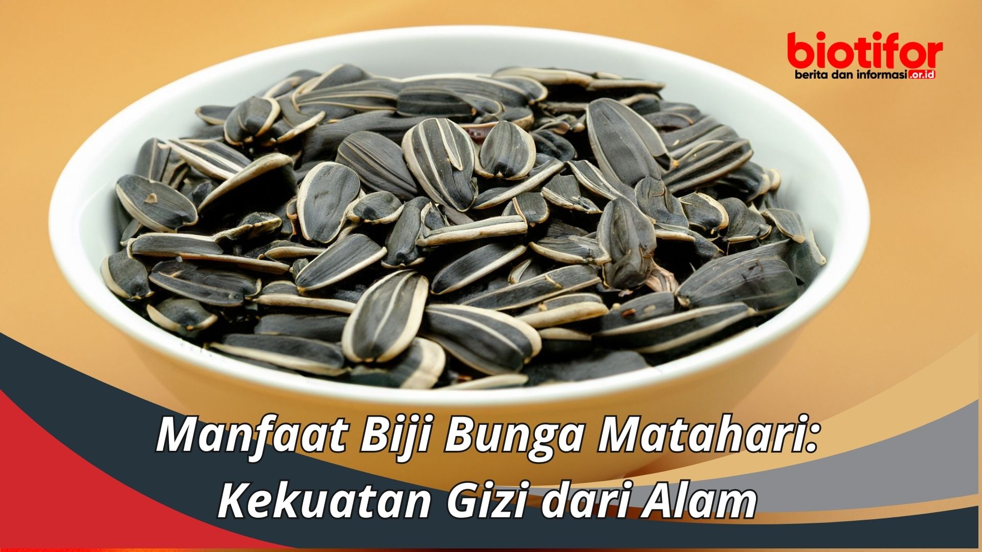 Manfaat Biji Bunga Matahari: Kekuatan Gizi dari Alam