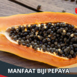 Manfaat Biji Pepaya