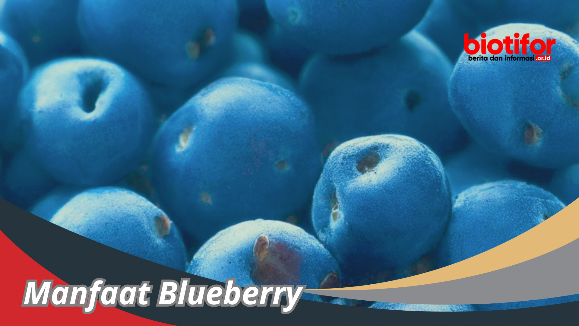 Manfaat Blueberry