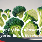 Manfaat Brokoli Khasiat Alami Sayuran untuk Kesehatan