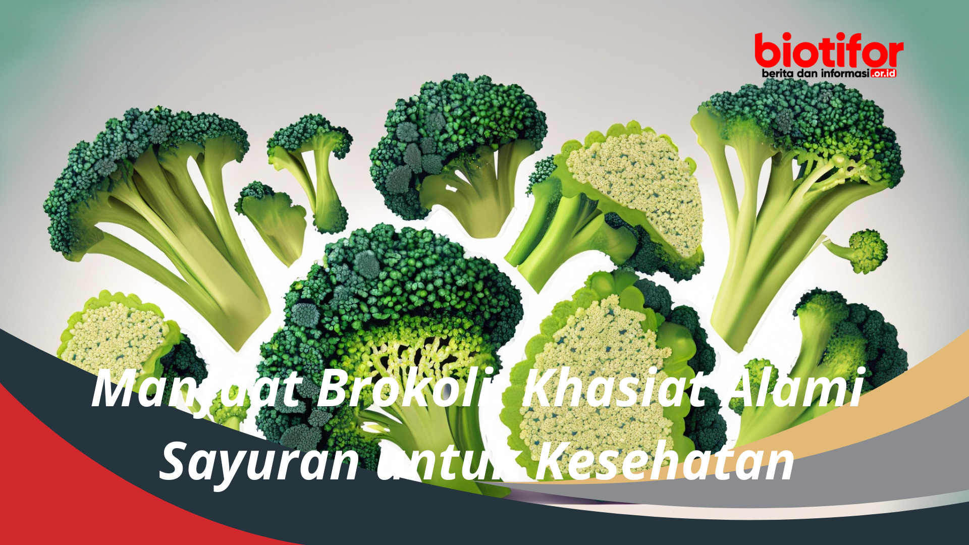 Manfaat Brokoli Khasiat Alami Sayuran untuk Kesehatan