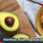 Manfaat Buah Alpukat