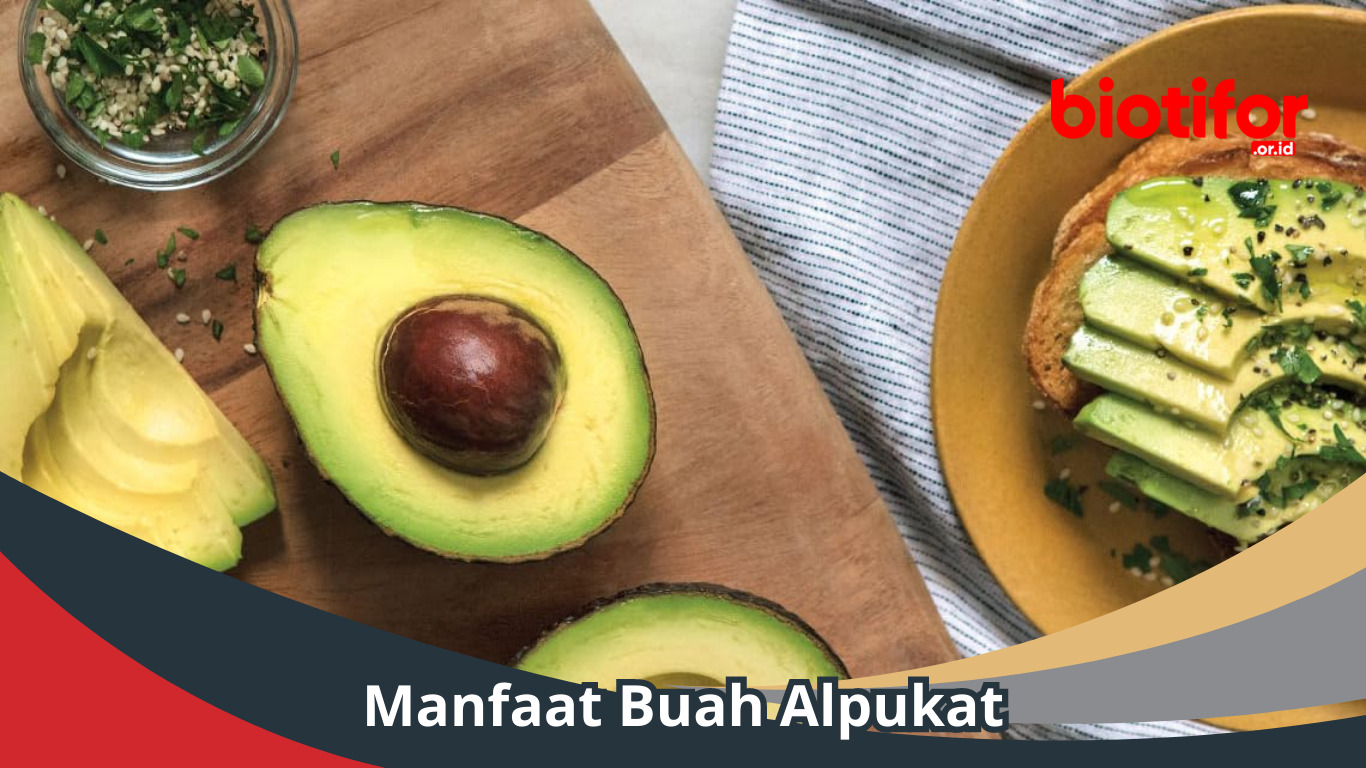 Manfaat Buah Alpukat