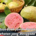 Manfaat Buah Jambu Merah: Kesehatan yang Menggoda