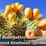 Manfaat Buah Kaktus: Kekayaan Nutrisi untuk Kesehatan Optimal