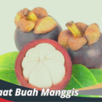 Manfaat Buah Manggis