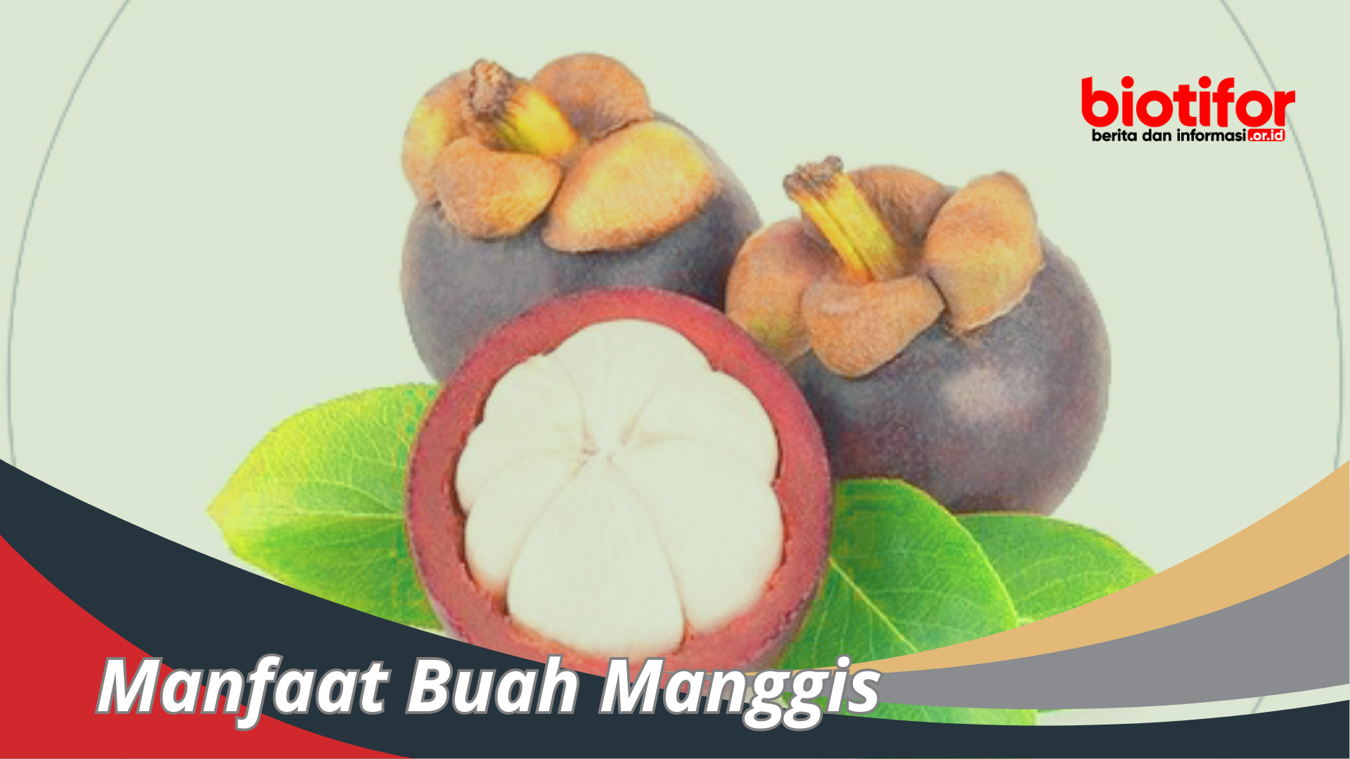 Manfaat Buah Manggis Untuk Kesehatan Kita !