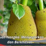 Manfaat Buah Nangka: Menyegarkan, Bergizi, dan Berkhasiat