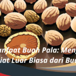 Manfaat Buah Pala Menggali Khasiat Luar Biasa dari Buah Pala