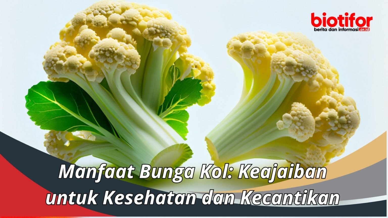 Bunga Kol Nutrisi Kesehatan dan Masakan