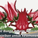 Manfaat Bunga Rosela: Khasiat dan Keajaiban untuk Kesehatan