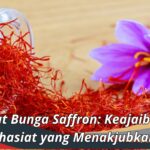 Manfaat Bunga Saffron: Keajaiban dan Khasiat yang Menakjubkan