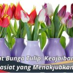 Manfaat Bunga Tulip: Keajaiban dan Khasiat yang Menakjubkan