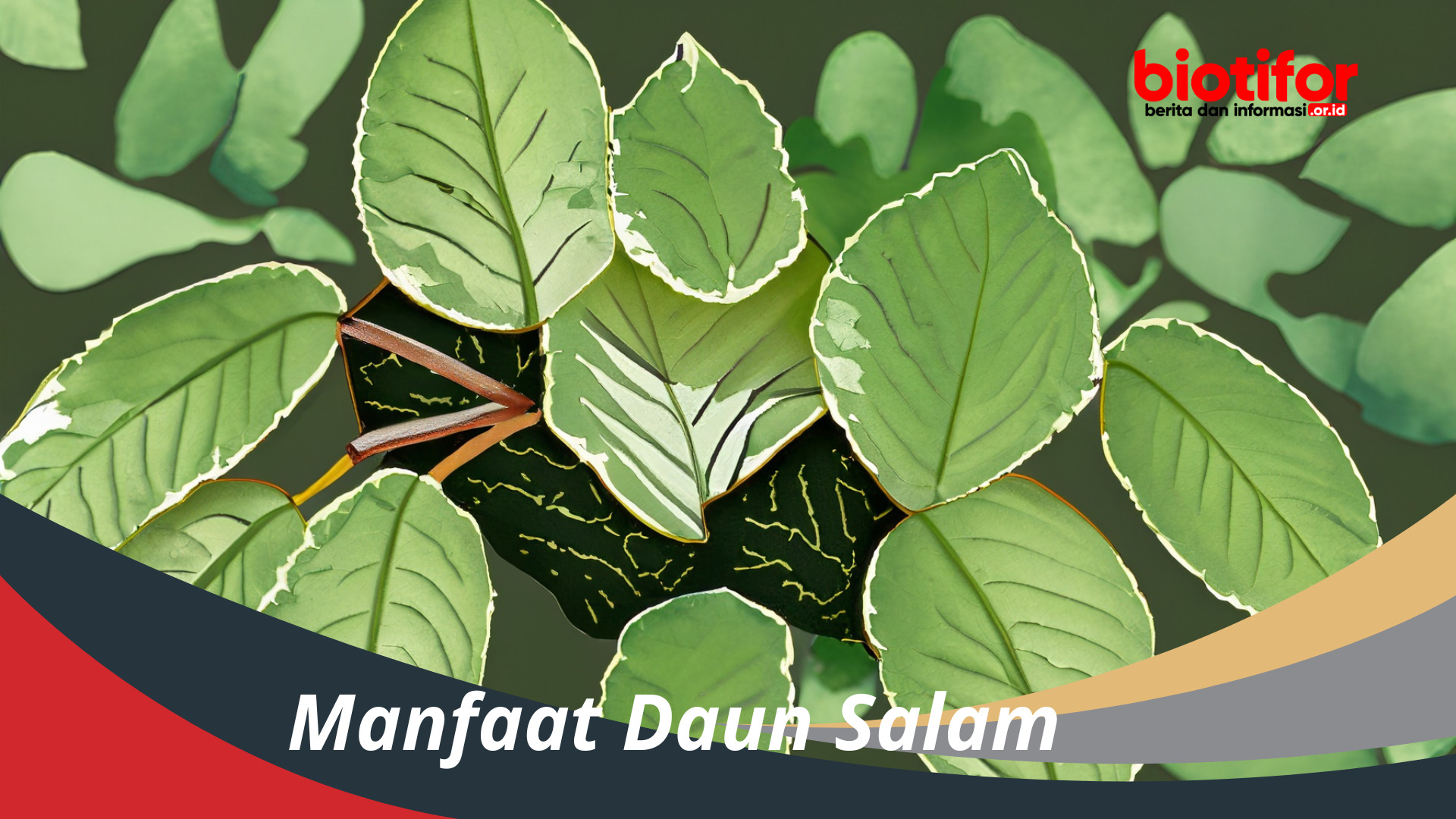 Manfaat Luar Biasa Tumbuhan: Dua Keajaiban Alam untuk Kesehatan dan Kehidupan