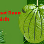 Manfaat Daun Sirih