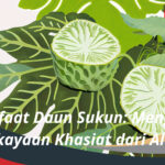 Manfaat Daun Sukun Menggali Kekayaan Khasiat dari Alam