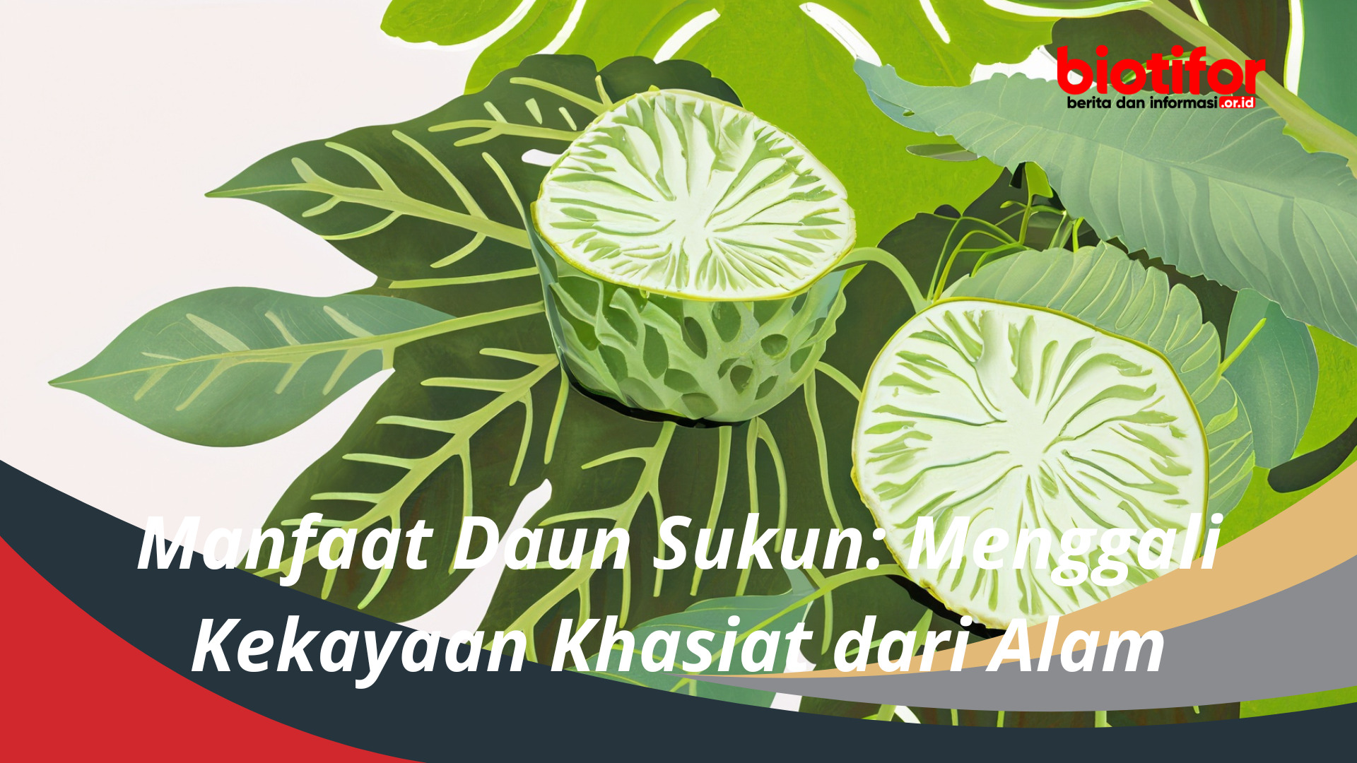 Manfaat Daun Sukun: Menggali Kekayaan Khasiat dari Alam