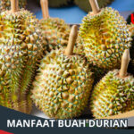 Manfaat Durian